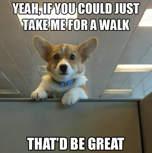 yeah-if-you-could-just-take-me-for-a-walk