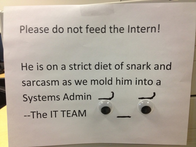 do-not-feed-the-intern